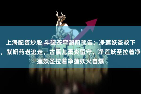 上海配资炒股 斗破苍穹超前预告：净莲妖圣救下魂灭生他们，紫妍药老逃走，古薰儿萧炎留守，净莲妖圣拉着净莲妖火自爆